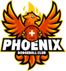 Phoenix Dodgeball Club